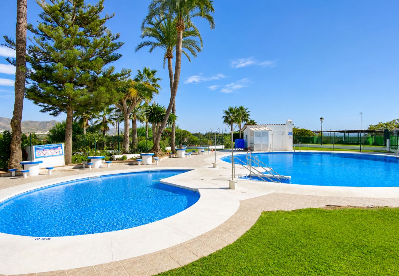 Estudio en Nerja - Estudio Brisa de punta Lara en nerja