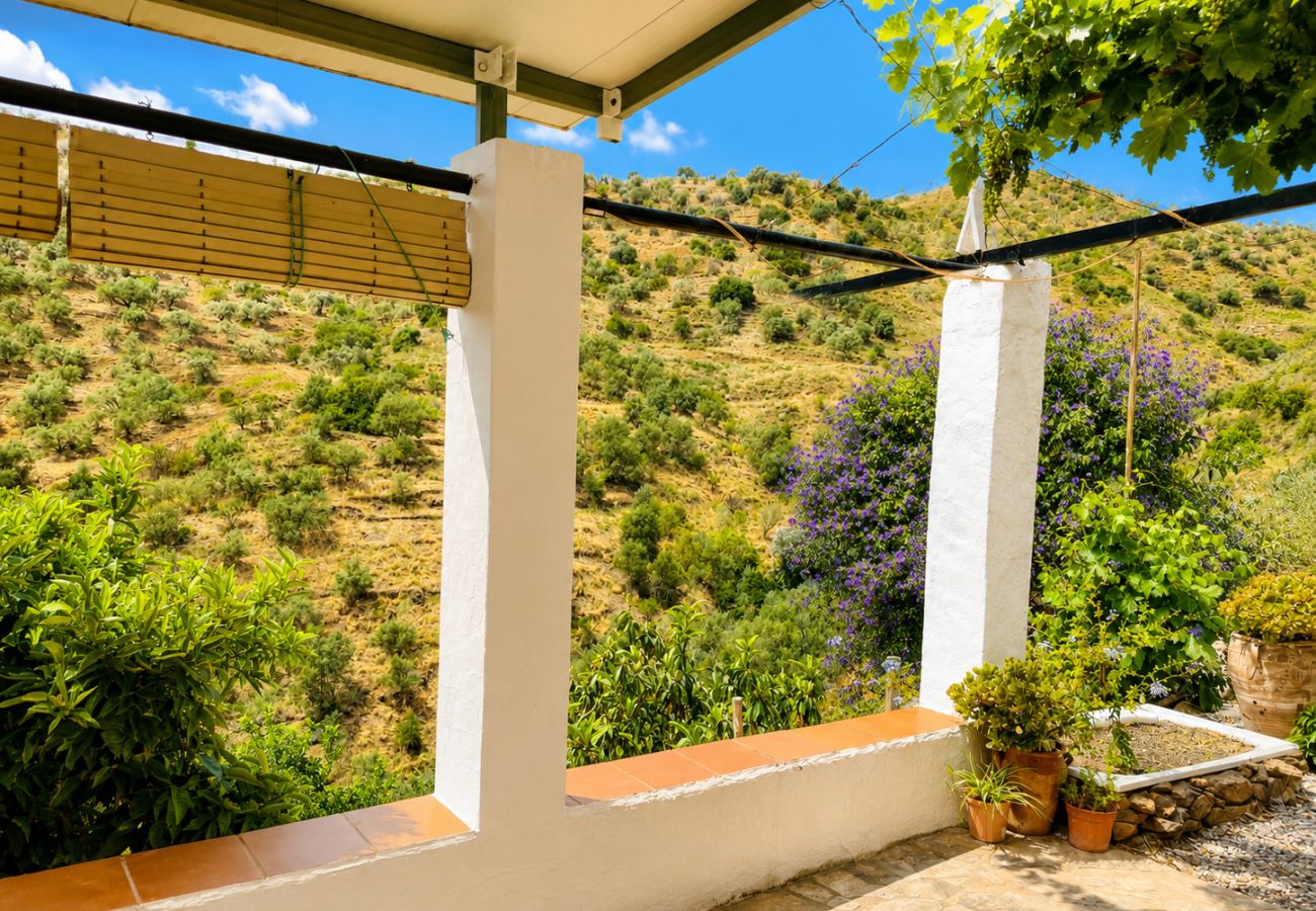 Cottage in Sayalonga - Cortijo Majuelo con piscina privada Sayalonga