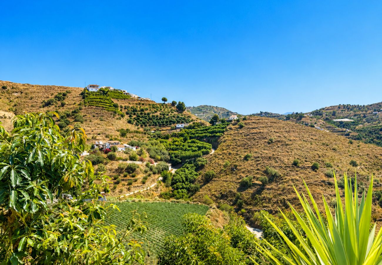 House in Torrox Costa - Cortijo las Flores con piscina privada